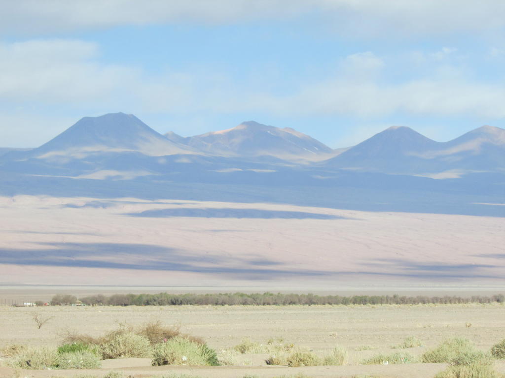 סן פדרו דה אטקאמה Hostal Desert מראה חיצוני תמונה
